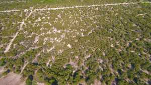 12005 Choctaw Ridge (13)
