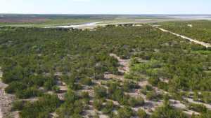 12005 Choctaw Ridge (2)