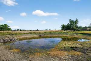 356 County Rd 132 (22)