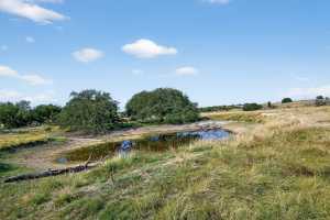 356 County Rd 132 (21)