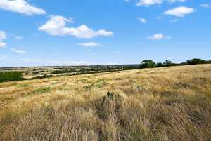 356 County Rd 132 (17)