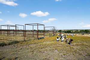 356 County Rd 132 (10)