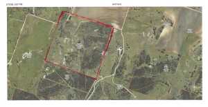 356 County Rd 132 (2)