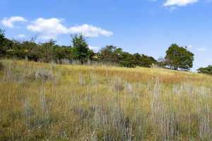 356 County Rd 132 (15)