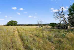 356 County Rd 132 (14)