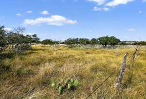 356 County Rd 132 (30)