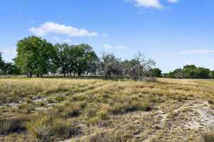 356 County Rd 132 (13)