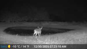 356 County Rd 132 (3)