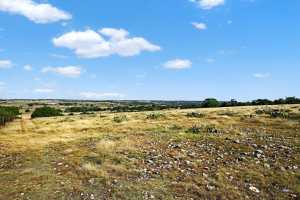 356 County Rd 132 (5)