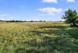 356 County Rd 132 (31)