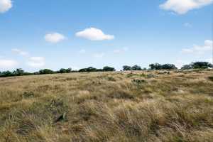 356 County Rd 132 (27)