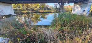 201 Orchard Lane (2)