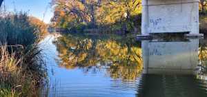 201 Orchard Lane (3)