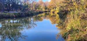 201 Orchard Lane (4)