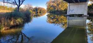 201 Orchard Lane (5)