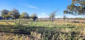 201 Orchard Lane (6)