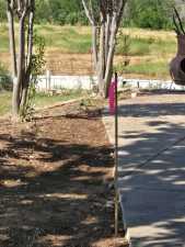 4 Southridge Dr (9)