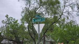 Willow Dr (5)
