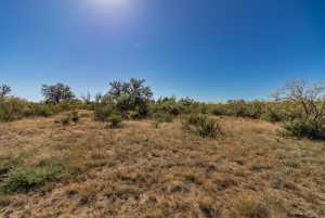 2 Timber Trail (10)