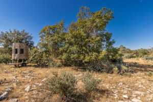 2 Timber Trail (12)