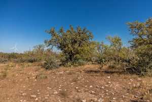 2 Timber Trail (13)