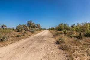 2 Timber Trail (15)