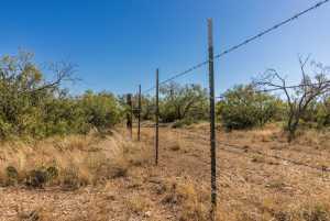 2 Timber Trail (6)