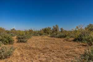 2 Timber Trail (7)