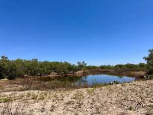12015 Mule Deer Trail