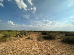 12015 Mule Deer Trail (19)