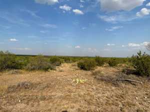 12015 Mule Deer Trail (26)