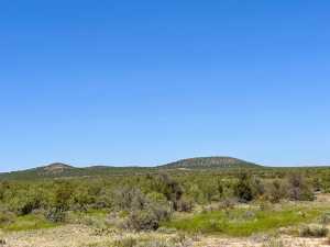 12015 Mule Deer Trail (11)