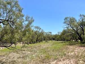 12015 Mule Deer Trail (12)