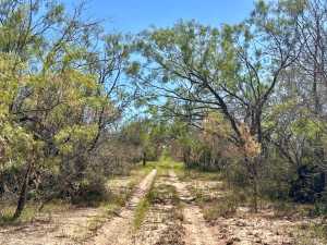 12015 Mule Deer Trail (13)