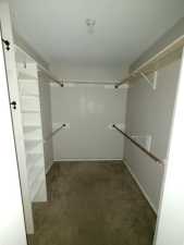 3006 Timber Ridge Dr (5)