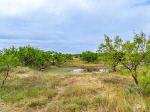 3241 Hwy 87 (41)