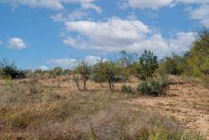 CR 158 County Rd W (25)