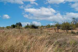 CR 158 County Rd W (26)