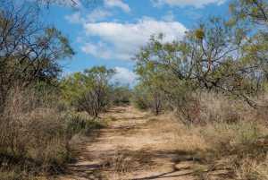 CR 158 County Rd W (27)