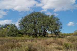 CR 158 County Rd W (28)