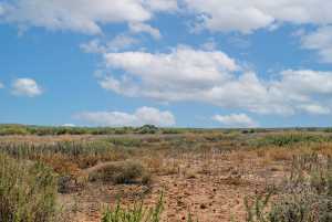 CR 158 County Rd W (31)