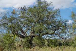 CR 158 County Rd W (34)