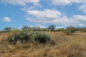 CR 158 County Rd W (36)