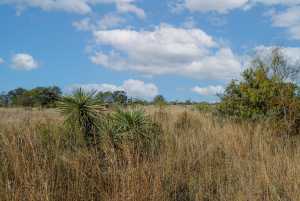 CR 158 County Rd W (37)