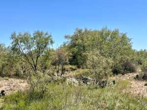 12088 Mule Deer Trail (18)