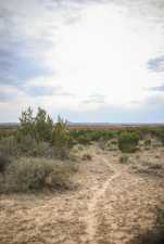 12088 Mule Deer Trail (31)