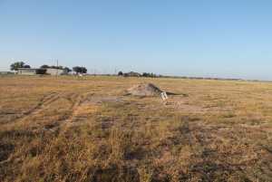 8715 Lance Rd (3)