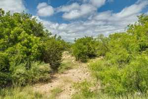 7502 County Rd 410 (33)
