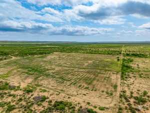 7502 County Rd 410 (72)