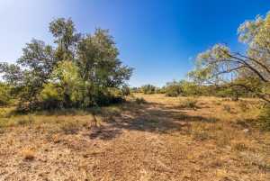 3 Timber Trail (10)
